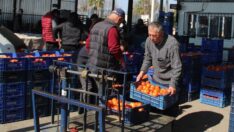 Antalya’da bedava olsa markette 6 lira