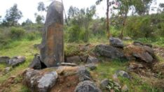 Avokado tarlasında İspanyol Stonehenge ortaya çıktı