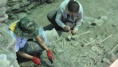 Ayasuluk Tepesi’nde yeni iskeletler bulundu