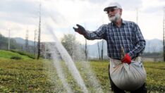 Bakanlık yüzde 342 TÜİK yüzde 152 diyor