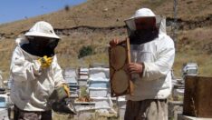 Bal fiyatları en az ikiye katlanacak