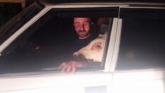 Buzağının psikolojisi düzeldi