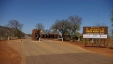 “Cadı” doktorlar “kara büyü iksirleri” için akbabaları telef etti