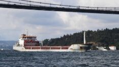 Çiftçiler açıklama bekliyor: Ukrayna mısırını ne amaçla, kim getirdi