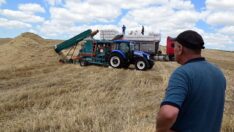 Çiftçiler: Yem desteği suistimale açık, karkas et ve çiğ süte destek verin