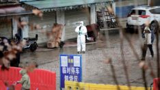 Çin’deki laboratuvarda COVID’den sonra bir virüs daha ortaya çıktı