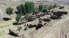 Gizemli köyde define talanı