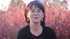 İlkay Akkaya’nın Mardin konseri de yasaklandı