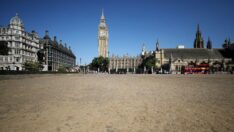 İngiltere’de aşırı sıcakların etkisi artıyor: Her yer sarardı