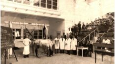 İsmet İnönü’nün de ziyaret ettiği tarihi amfi korundu