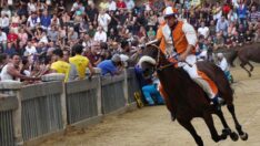 ‘İtalyan işi’ at yarışı