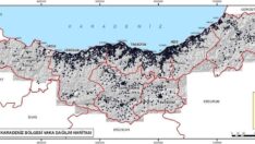 Karadeniz’de yaşayanları içme suyu mu kanser ediyor?