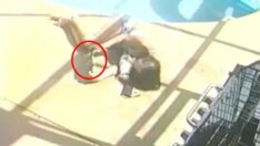 Korkunç olay: Köpeğini havuzda boğup, cansız haliyle poz verdi…