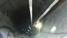 Kuyuya düşen koyunu itfaiye kurtardı