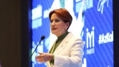 Meral Akşener: Kimse bu kadar ahmak olamaz