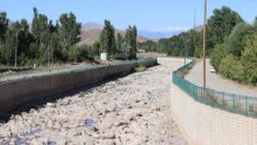 Oltu Çayı tamamen kurudu: ‘Eski günleri arıyoruz’