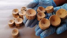 Patara’da 2 bin 600 yıllık köpek balığı ve vatoz kemikleri bulundu