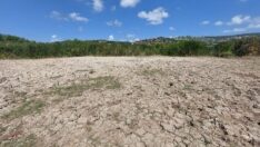 Riva’da gölet kurudu: İnşaatlar, su yollarını kesti