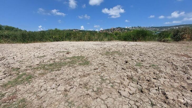 Riva’da gölet kurudu: İnşaatlar, su yollarını kesti