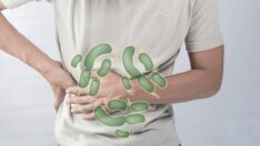 Salmonella nedir? Salmonella bakterisi belirtileri ve tedavisi nedir?