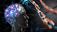 Şaşırtıcı araştırma: Elektrik verilen kişilerin hafızasında iyileşme görüldü