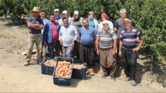 Şeftali bilmecesi: Dalında 2, markette 15.90 TL