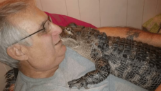 Sıra dışı evcil hayvan sosyal medyanın gündeminde: Timsahını yürüyüşe çıkardı