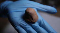 Troya’da 2 bin 300 yıllık mini kap bulundu