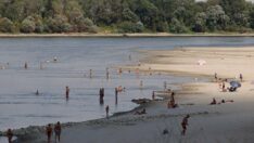 Tuna Nehri’nin su seviyesi normalin altına düştü