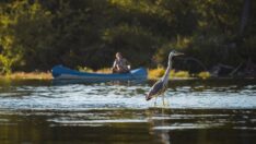 Una Milli Parkı turist akınına uğruyor
