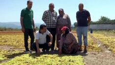 Üzüm taban fiyatından ne üretici ne de muhalefet memnun: Dağ fare doğurdu