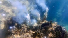 Van Gölü’nün derinliklerinde görüntülendi, şaşkınlık yarattı