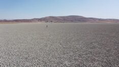 Van’daki Akgöl çorak araziye dönüştü