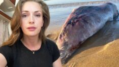 Yasemin Allen: Bir can kaybına şahit oldum