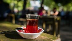 Yeni bir araştırmaya göre çay içenlerin ölüm riski daha düşük