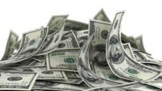 Yeni model, dolar ve enflasyonu uçurdu