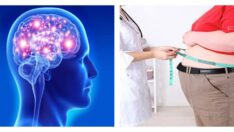 Yüksek yağlı beslenme alzheimer ve kaygıya neden oluyor!