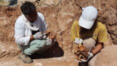 1800 yıllık insan iskeletleri bulundu