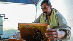 23 yıldır “en iyi bal” için kovanlarıyla il il dolaşıyor