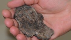 3 bin yıllık insan yüzlü seramik kap parçası bulundu