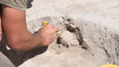 4 bin 500 yıllık kaplarda, ağrı kesicinin etken maddesi tespit edildi