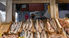 Av yasağının bitmesi sonrası balık fiyatları düşüyor