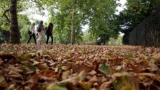 Avrupa bu yaz kavruldu: Rekor kırıldı