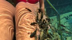 Balıklı kaplıcanın suyu kurumuyor