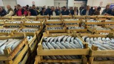 Beş bin kasa palamut bir saatte tükendi