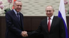 Bloomberg: Erdoğan Putin’den doğalgazda indirim isteyecek