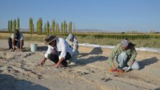 Canhasan Höyükleri’nde 50 yıl aranın ardından tekrar kazı çalışmaları başladı
