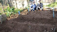 Corona’dan 9 ferdini kaybeden ailenin genetik sonuçları çıktı