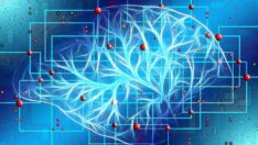 Covid-19 yapay zeka kullanılarak ses ile tespit edilecek