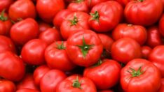 Domates ihracatı izne bağlandı